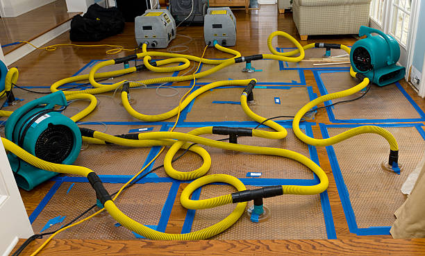 Professional Basement Flood Cleanup technician working in Audubon, PA